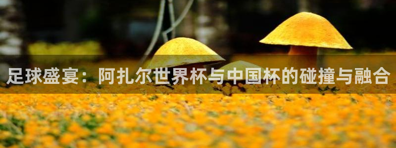 亚洲杯比赛直播:足球盛宴:阿扎尔世界杯与中国杯的碰撞与融合
