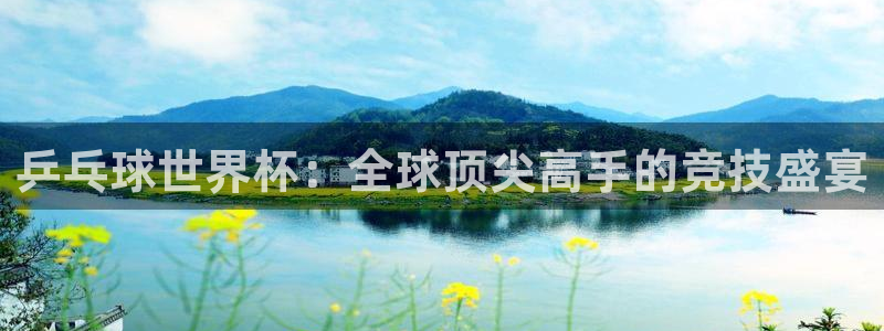 世界杯球队排名:乒乓球世界杯:全球顶尖高手的竞技盛宴