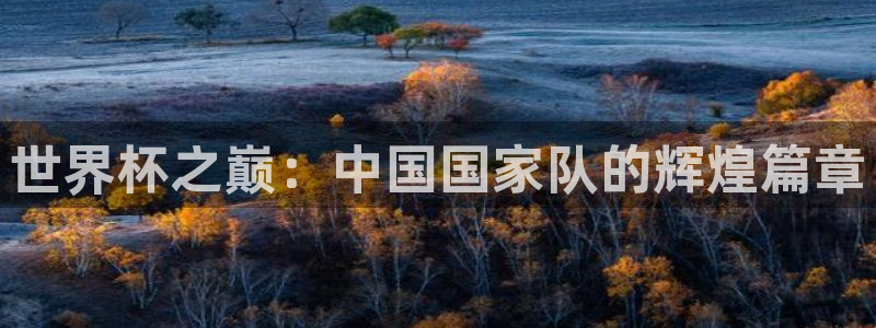 欧洲区世界杯预选赛:世界杯之巅:中国国家队的辉煌篇章