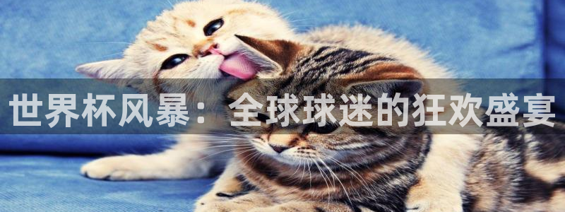 2026世预赛赛程:世界杯风暴:全球球迷的狂欢盛宴