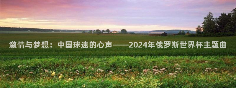 2026世预赛赛程表:激情与梦想:中国球迷的心声——2024年俄罗斯世界杯主题曲